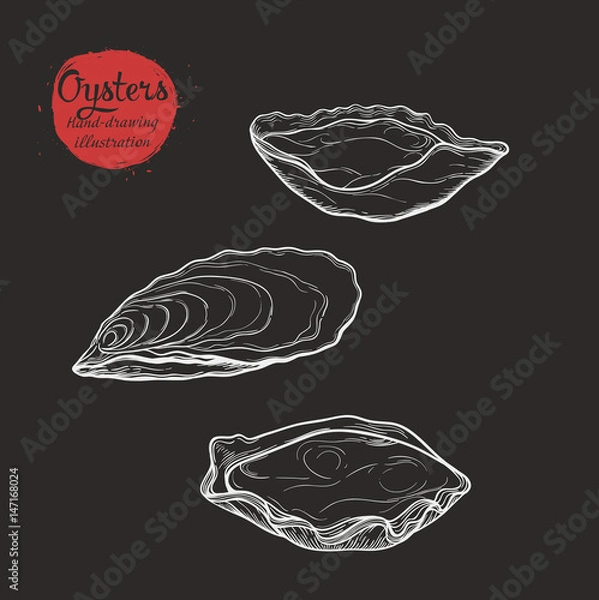 Obraz marine oyster isolated on white background