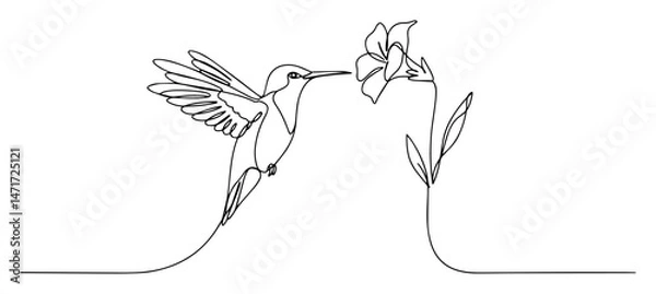 Fototapeta continuous line vector drawing of hummingbird drinking nectar from flower in minimalist style
