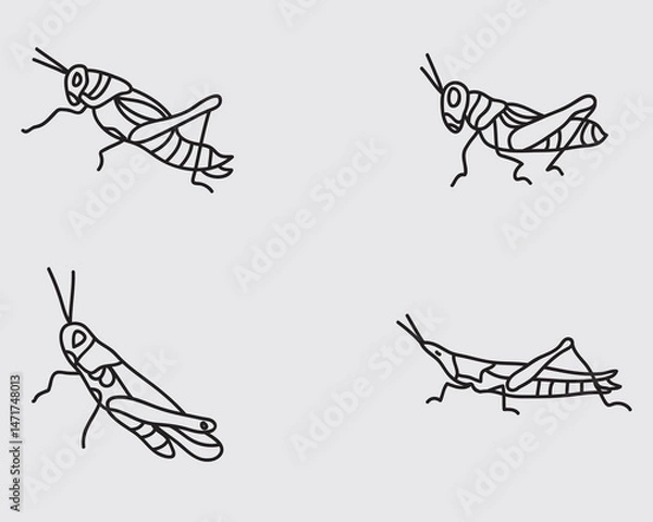Fototapeta type of grasshoppers insect outline icon collections.locust line art vector illustration isolated on background