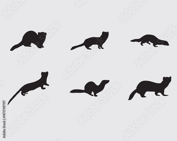 Fototapeta various type of weasel vector silhouette isolated on background.weasel black shadow illustration collections