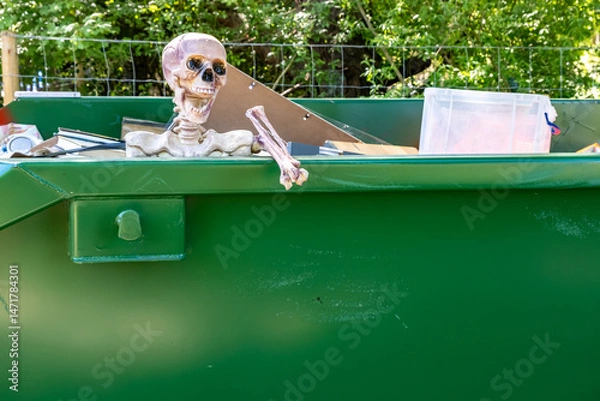 Fototapeta Anatomical skeleton model in a skip among the rubbish and trash