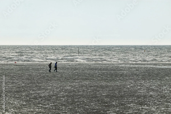 Fototapeta Walk on the coastal tidal flat in Incheon, Korea