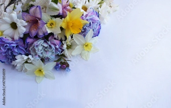Fototapeta A bouquet of spring flowers on a white background. Blue carnations and yellow daffodils. A background for congratulations with a place for the text.