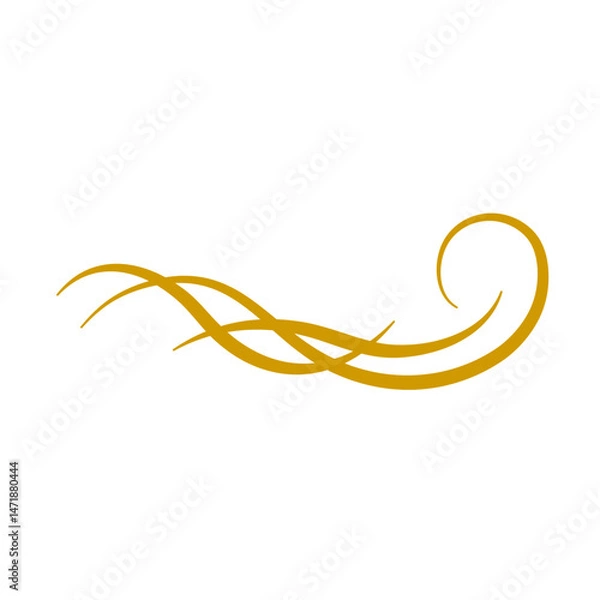 Obraz Floral divieder vintage vector 