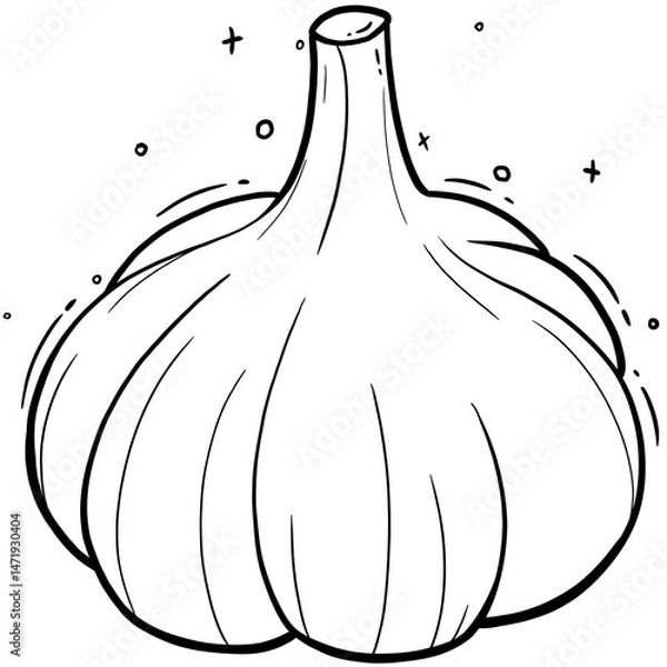 Obraz Aromatic Garlic Bulb on Transparent Background
