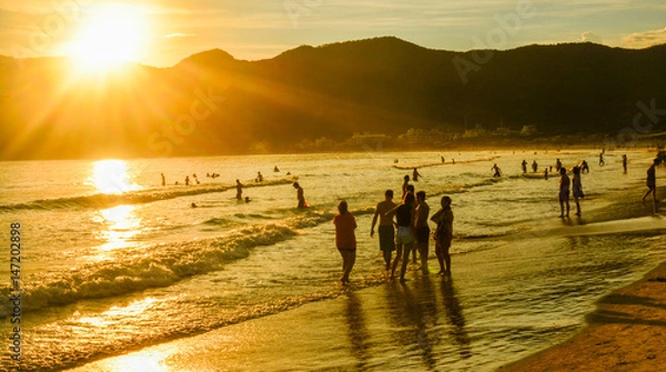 Obraz pântano do sul / florianópolis