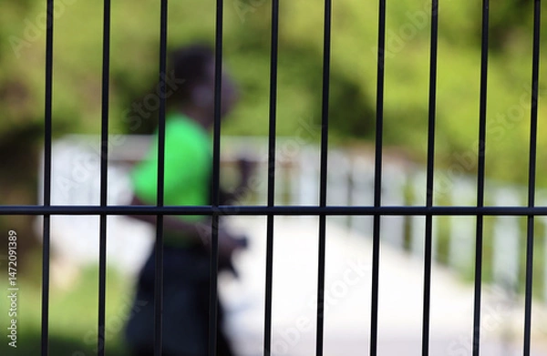 Obraz Migration Zaun  