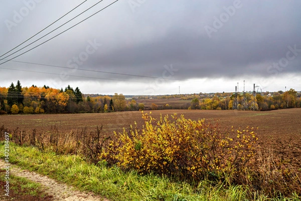 Obraz Autumnal rustic landscape with undulating hills of plowed fields and colorful lines of autumnal fields