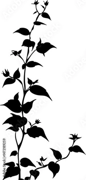Fototapeta Small leaf plant silhouette pattern wallpaper. Black and white. minimal artwork. simple template. tattoo design. card and package.