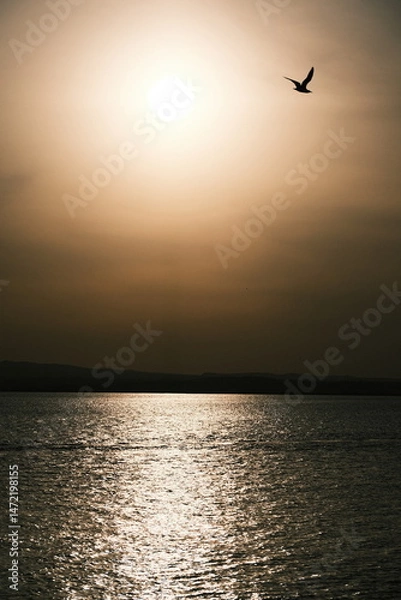 Obraz Sunset on the Yellow River in China