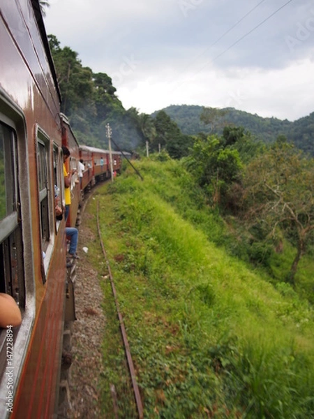 Fototapeta OLYMPUS DIGITAL CAMERA