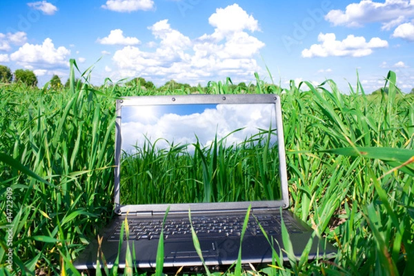 Obraz laptop computer