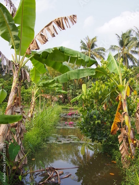 Obraz OLYMPUS DIGITAL CAMERA