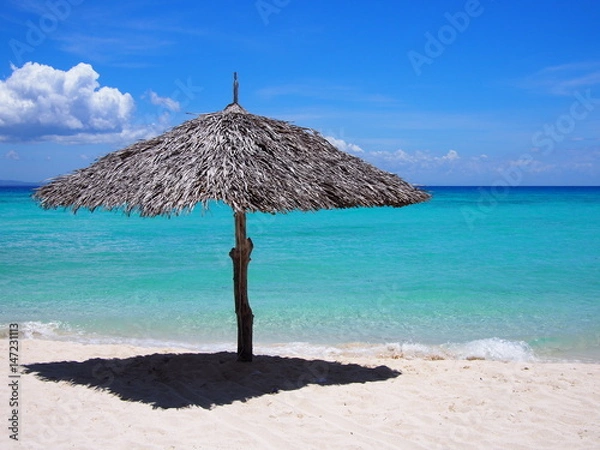 Obraz OLYMPUS DIGITAL CAMERA