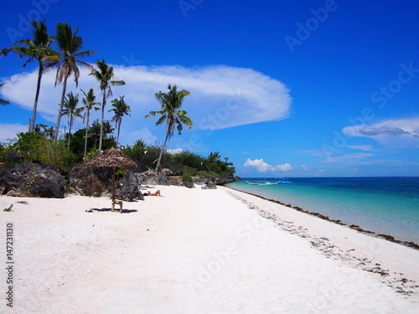 Obraz OLYMPUS DIGITAL CAMERA