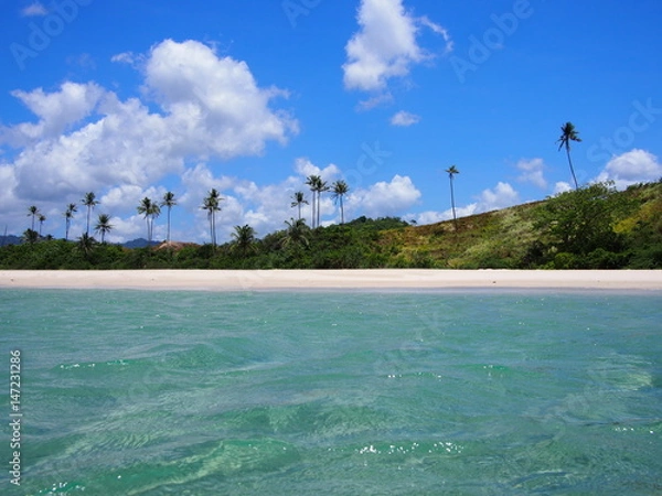 Obraz OLYMPUS DIGITAL CAMERA