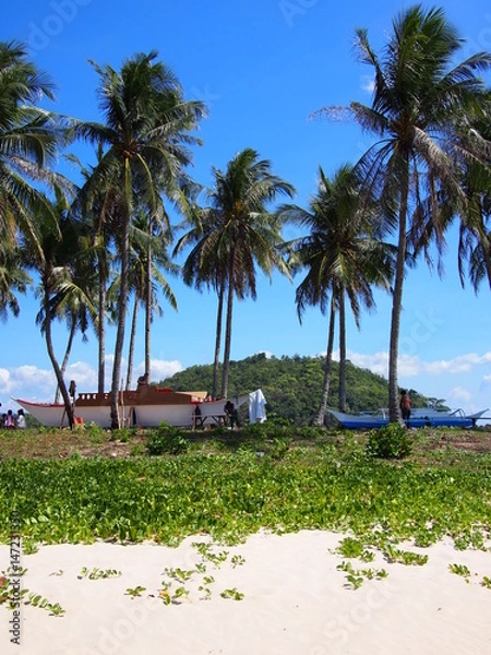 Obraz OLYMPUS DIGITAL CAMERA