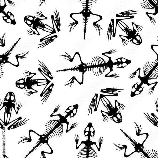 Fototapeta Seamless pattern. Skeletal system of animals. Black frog and lizard bone structure isolated on a white background. Amphibian and reptiles silhouettes.
