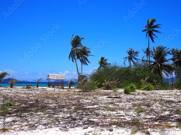 Obraz OLYMPUS DIGITAL CAMERA