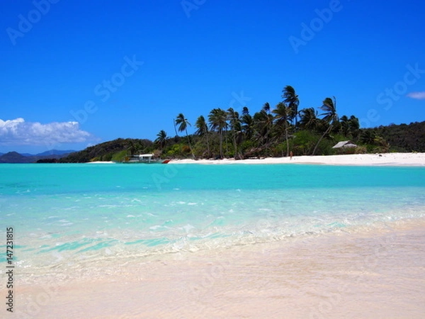 Fototapeta OLYMPUS DIGITAL CAMERA