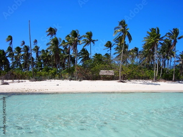 Obraz OLYMPUS DIGITAL CAMERA