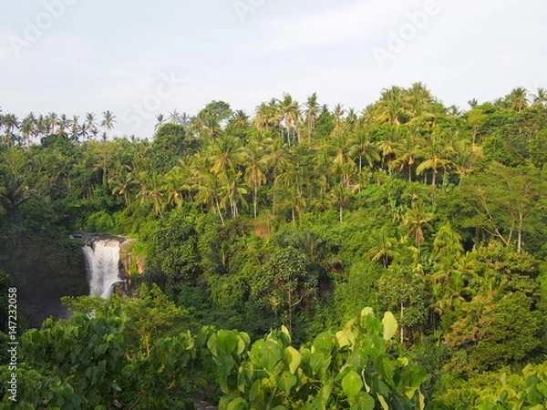 Obraz OLYMPUS DIGITAL CAMERA