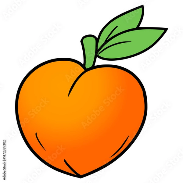 Obraz peach illustration hand drawn isolated vector