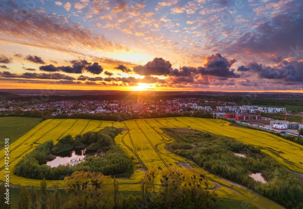 Fototapeta Amazing sunset over the spring fields of Rotmanka, Poland