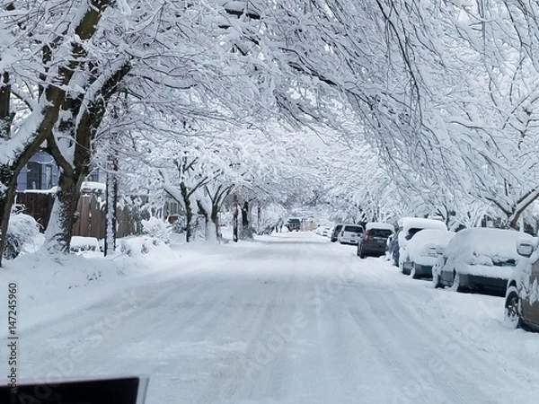 Obraz WinterinPDX2017_10