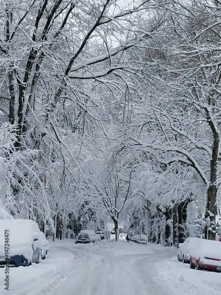 Obraz WinterinPDX2017_06