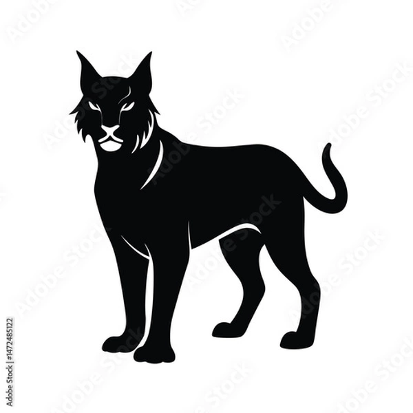 Fototapeta Bobcat wild feline with short tail black silhouette vector image on white background