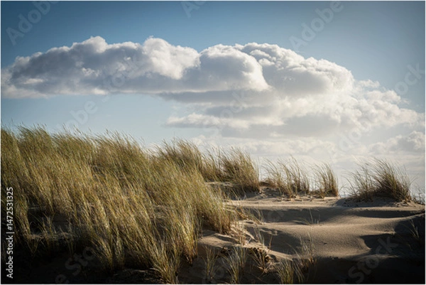 Obraz somwere at the Beach