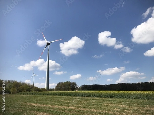 Obraz Frühling in der Natur mit Windkraftanlage vor blauem Himmel