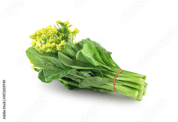 Fototapeta Choy sum, a kind of chinese vegetable in isolated background with clipping path, Freshly Harvested Bunch of Vibrant Green Choy Sum Tied with Twine, Caisim, Chinese flowering cabbage, Bok Choy.