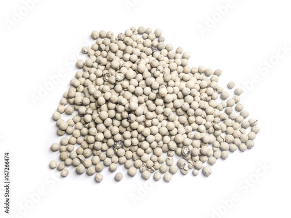 Obraz Coriander seeds isolated