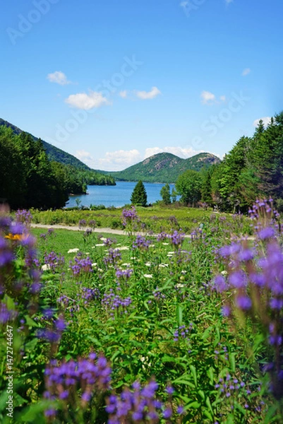 Obraz Jordan Pond in Acadia National Park with Bubble Rock in the distance, on Mount Desert Island, Maine