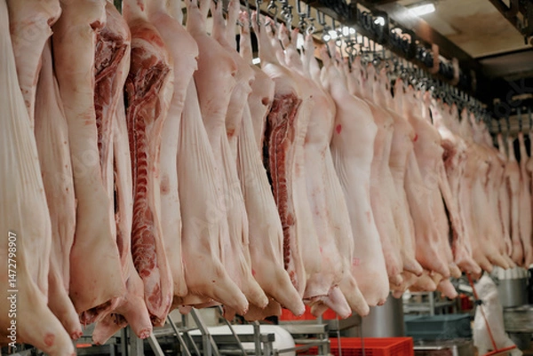 Obraz A meat processing facility with numerous pig carcasses hanging on an overhead rail system.