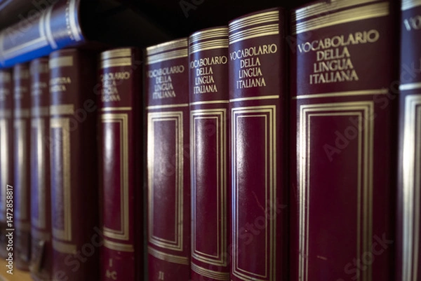 Obraz enciclopedie in un'antica libreria