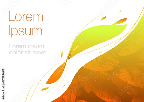 Obraz vector presentation folder banner template with organic theme