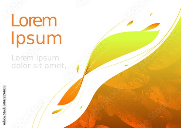 Obraz vector presentation folder banner template with organic theme