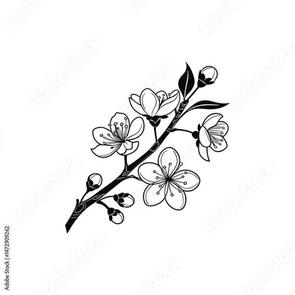 Obraz floral background with flowers