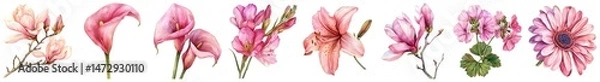 Fototapeta Delicate Floral Border with Soft Pink and White Blooms for Elegant Design Projects