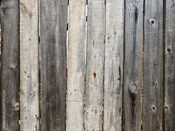 Fototapeta Weathered wooden fence panels create a rustic backdrop in a natural setting during daytime hours