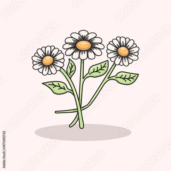 Obraz Vector illustration of daisy flower with white petals and yellow center representing freshness purity and springtime Perfect for floral designs botanical themes nature decorations greeting cards and s
