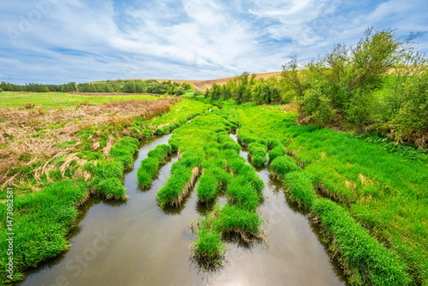 Fototapeta Latah Creek, also known as Hangman Creek, a large stream flowing through Idaho and Eastern Washington before ending at the Spokane River, viewed from Fairfield Washington in the Palouse region.