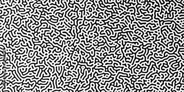 Fototapeta Diffusion reaction seamless vector pattern. Natural seamless line pattern. Linear design with biological shapes. Reaction-diffusion or truing pattern formation. abstract truing organic wallpaper.	
