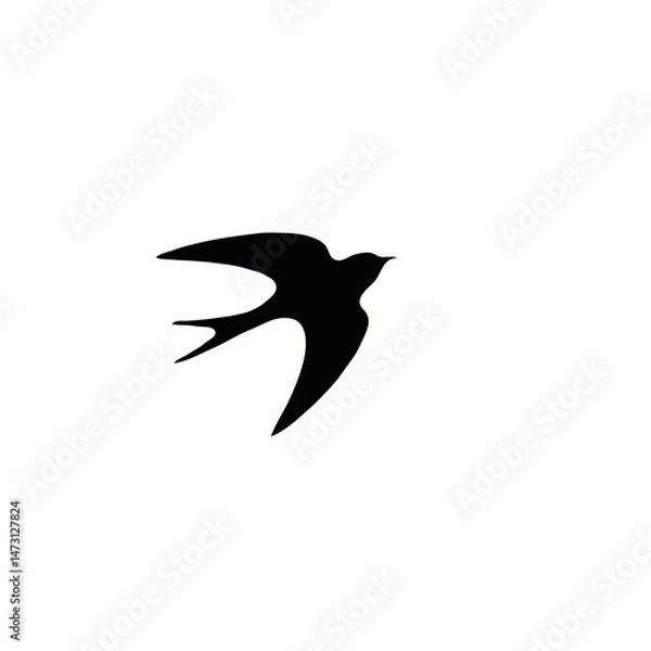 Fototapeta Swallow Bird vector Silhouette, Silhouette of the flying Swallow bird 