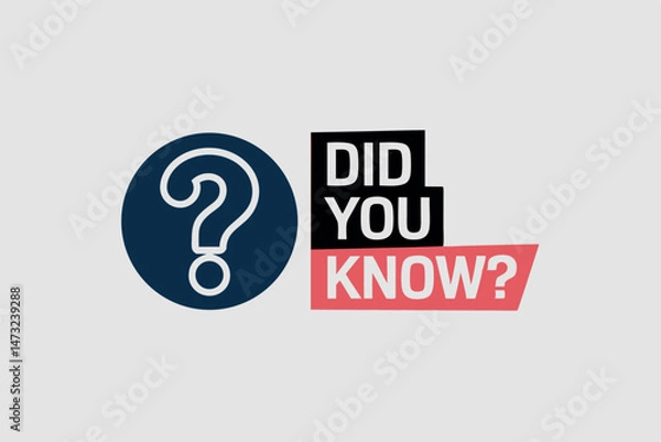 Fototapeta Question mark icon with did you know text infographic in modern minimalist design