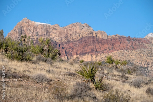 Obraz Rocky structures of at  Red Rock Canyon, Nevada, USA