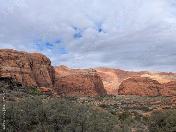 Obraz Snow Canyon State Park, Utah
